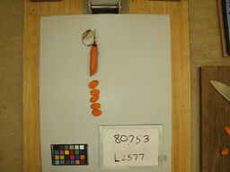 L2577_4.jpg