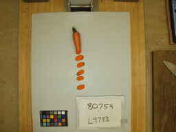L9793_3.jpg