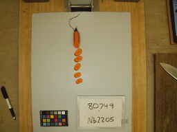 Nb2205_3.jpg