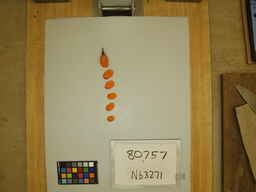 Nb3271_3.jpg