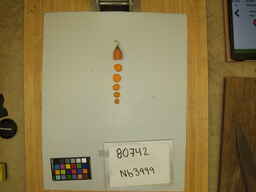 Nb3999_2.jpg