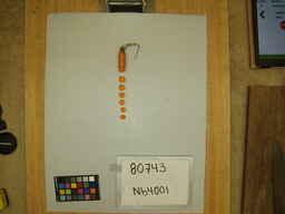 Nb4001_3.jpg