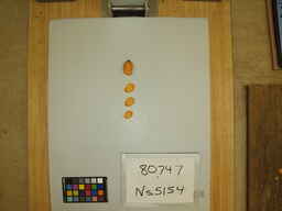 Ns5154_2.jpg