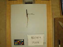 P0114.jpg