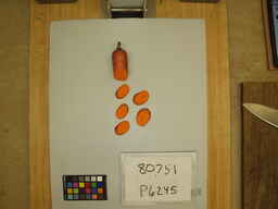 P6245_2.jpg