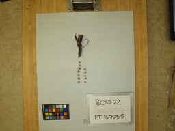 PI_167055_2.jpg