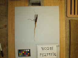 PI_279776.jpg
