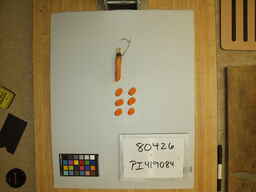 PI_419084_3.jpg