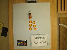 PI_432903_3.jpg