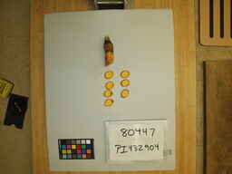 PI_432904_3.jpg