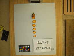 PI_432905_3.jpg