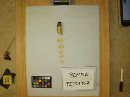 PI_451752_3.jpg