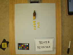 PI_451753_2.jpg