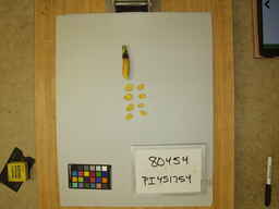 PI_451754_3.jpg