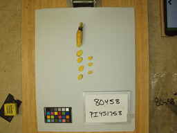 PI_451758_2.jpg