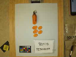 PI_502239_3.jpg