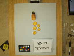 PI_502347_3.jpg