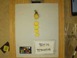 PI_502348_3.jpg