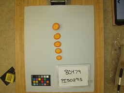 PI_502913_2.jpg