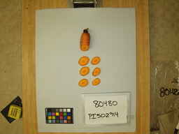 PI_502914_3.jpg