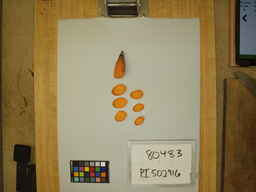 PI_502916_3.jpg