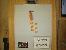 PI_502917_2.jpg