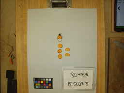 PI_502918_2.jpg