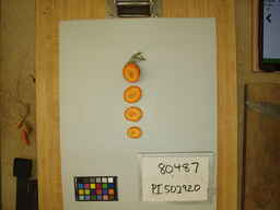 PI_502920_3.jpg