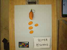 PI_503342_2.jpg
