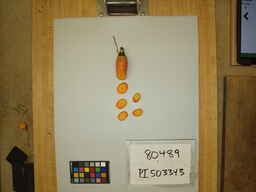 PI_503343_2.jpg
