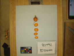 PI_506444_3.jpg