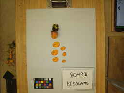 PI_506445_3.jpg