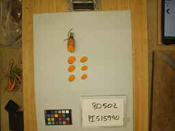 PI_515990_2.jpg