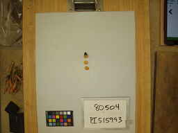 PI_515993_3.jpg