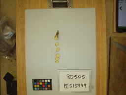PI_515994_3.jpg