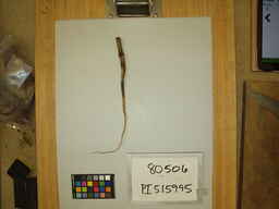 PI_515995.jpg