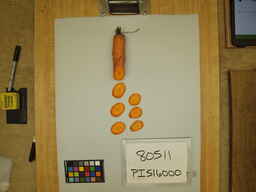PI_516000_2.jpg