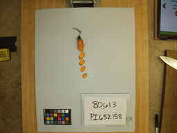 PI_652158_3.jpg