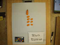 PI_652160_2.jpg