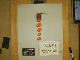 PI_652188_3.jpg