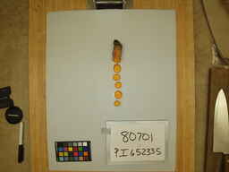 PI_652335_2.jpg