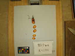 R4294_2.jpg
