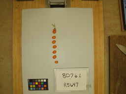 R5647_3.jpg
