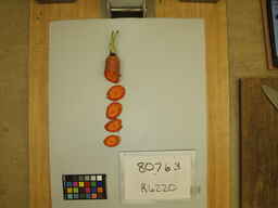 R6220_3.jpg