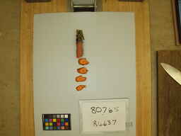 R6637_3.jpg