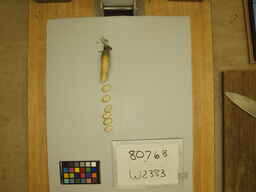 W2383_3.jpg