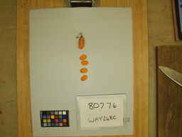 WAY268C_3.jpg