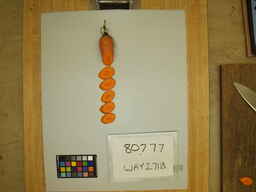 WAY271B_3.jpg