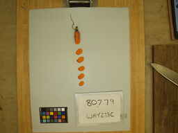 WAY273C_3.jpg