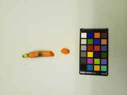 L1408B_2.jpg